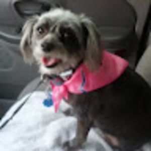 Meet your Posher, Roberta